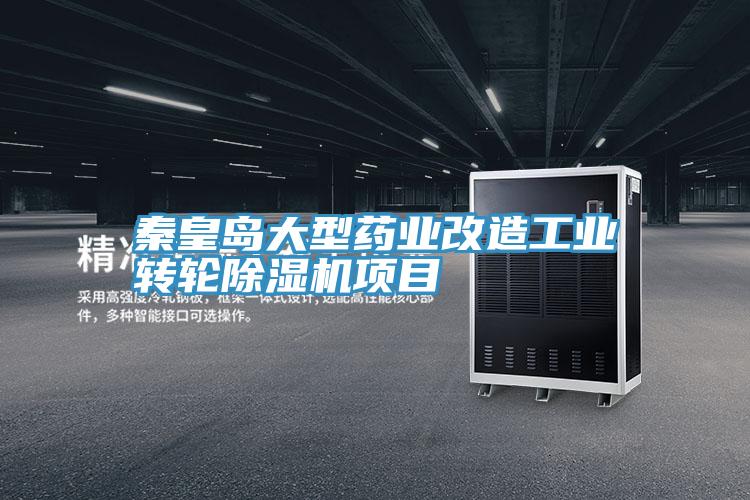 秦皇岛大型药业改造工业转轮猫咪成人官网项目