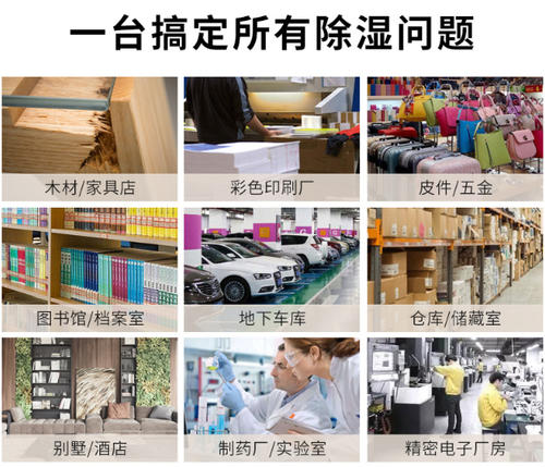 智能猫咪成人官网