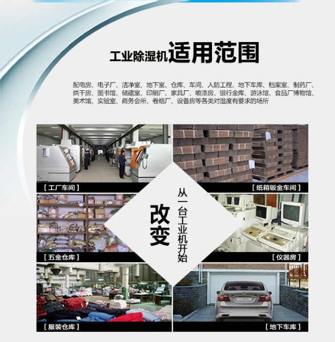 中国家用猫咪成人官网品牌质量排行榜