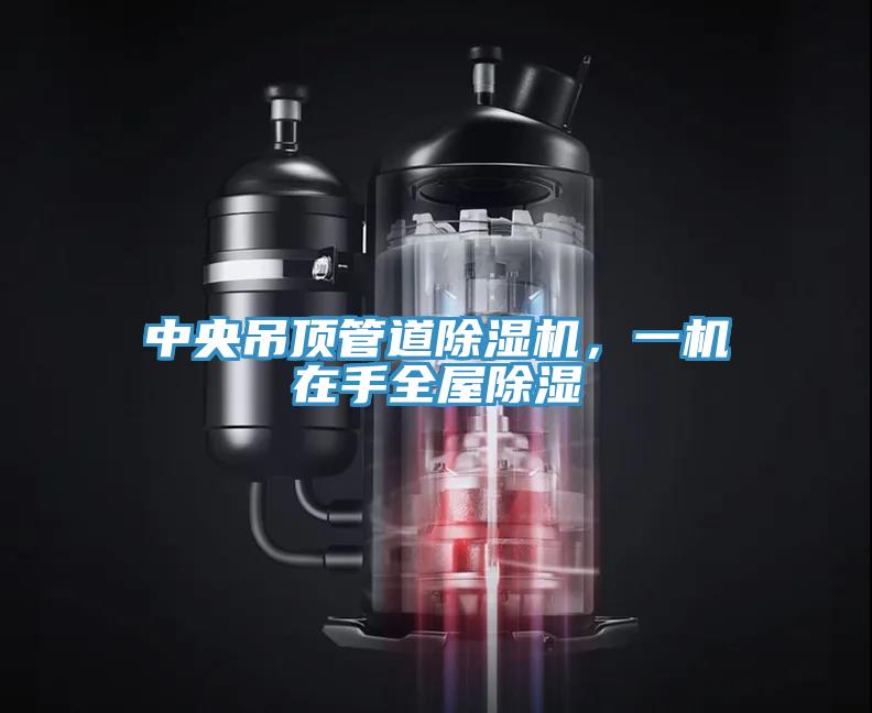 中央吊顶管道猫咪成人官网，一机在手全屋除湿