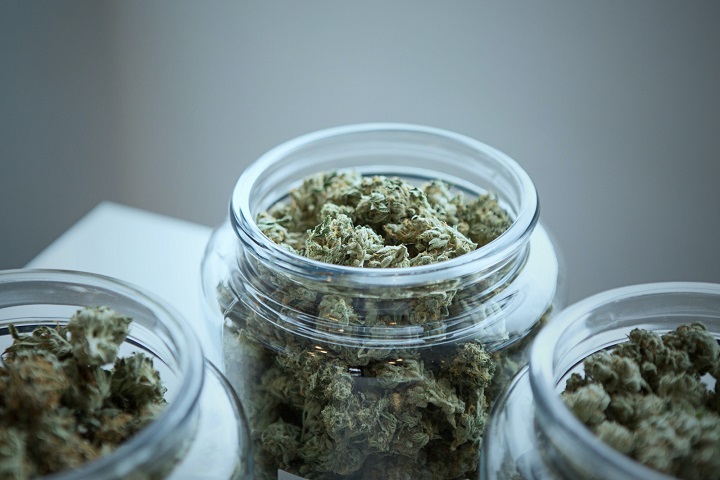 如何让中草药烘干过程“药性”不流失？