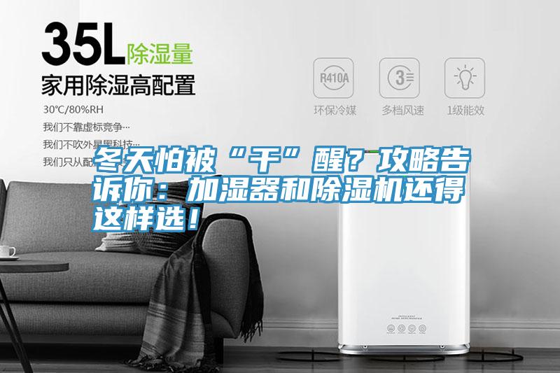 冬天怕被“干”醒？攻略告诉你：加湿器和猫咪成人官网还得这样选！