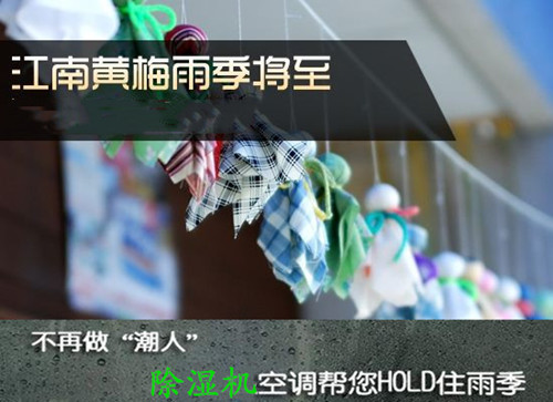 防潮猫咪成人官网
