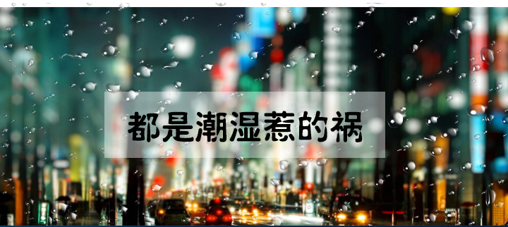 防潮猫咪成人官网