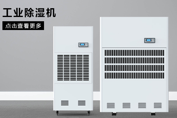 工业猫咪成人官网价格多少