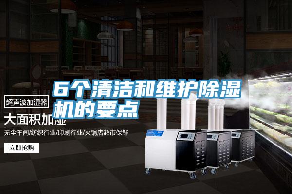6个清洁和维护猫咪成人官网的要点