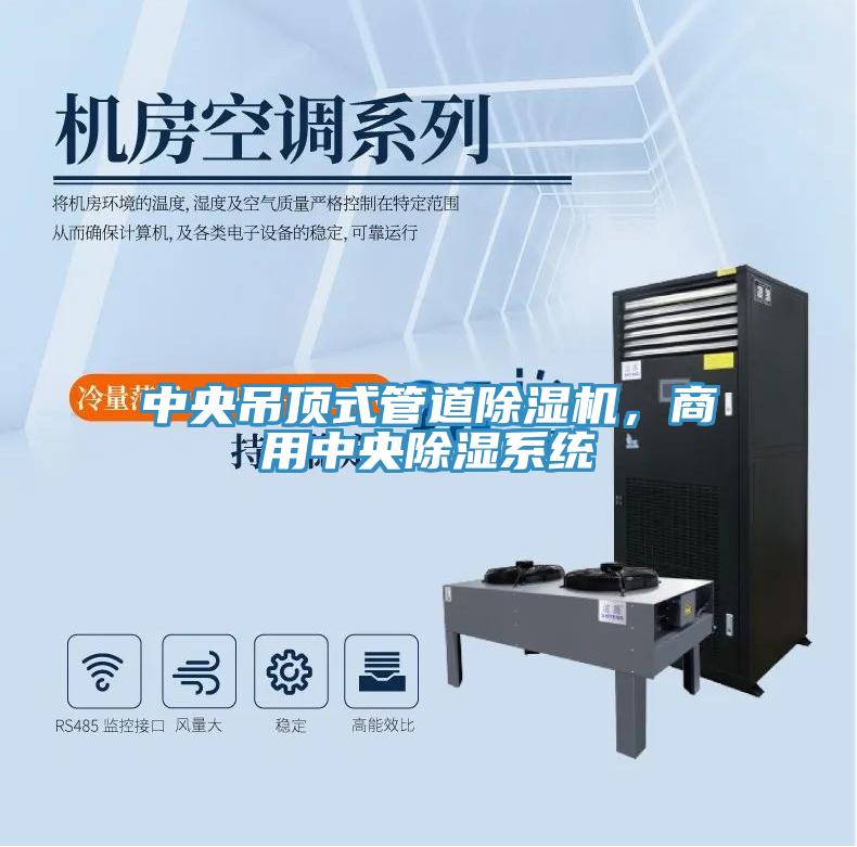 中央吊顶式管道猫咪成人官网，商用中央除湿系统