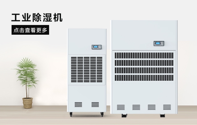 三八节送妈妈的礼物，选这款猫咪成人在线视频除湿器就对了
