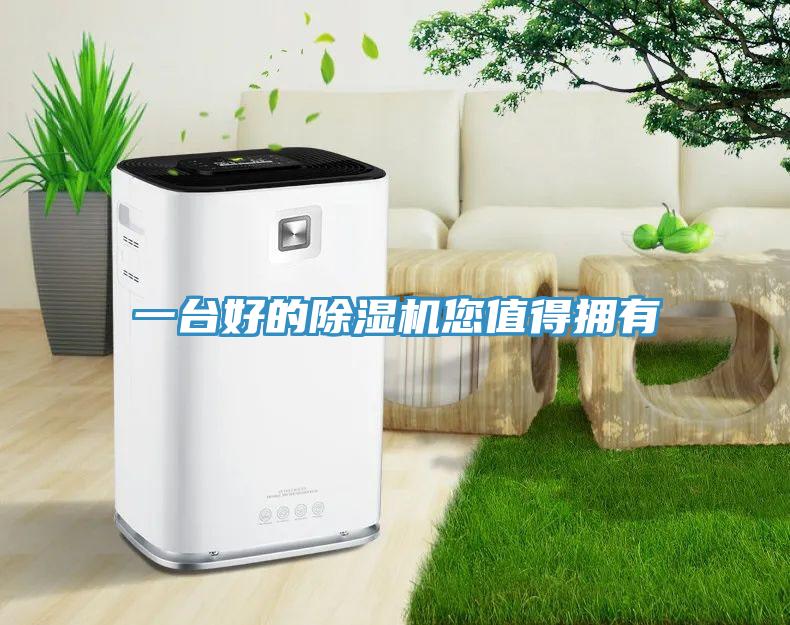 一台好的猫咪成人官网您值得拥有