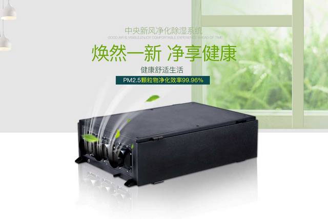 一种能轻易摆脱梅雨季节潮湿问题的猫咪成人官网