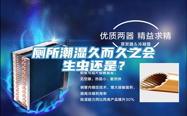 厕所潮湿久而久之会生虫还是？