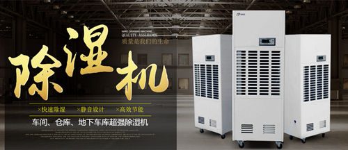 智能猫咪成人官网