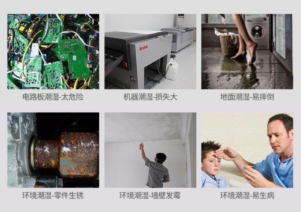 智能猫咪成人官网