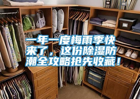 一年一度梅雨季快来了，这份除湿防潮全攻略抢先收藏！