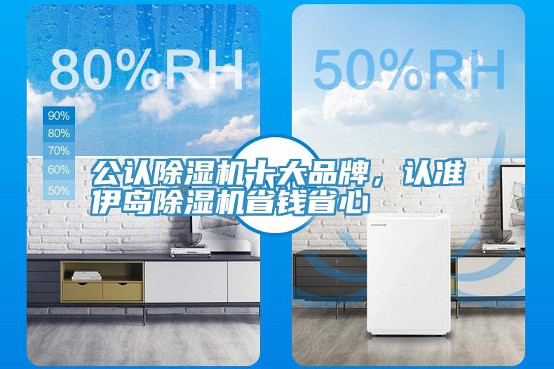 公认猫咪成人官网十大品牌，认准伊岛猫咪成人官网省钱省心