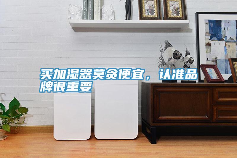 买加湿器莫贪便宜，认准品牌很重要
