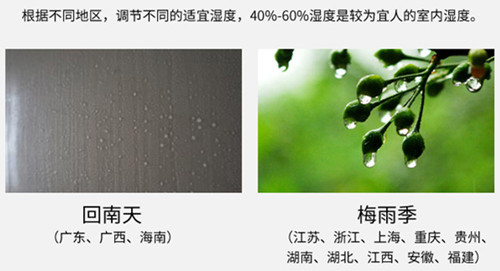 防潮猫咪成人官网
