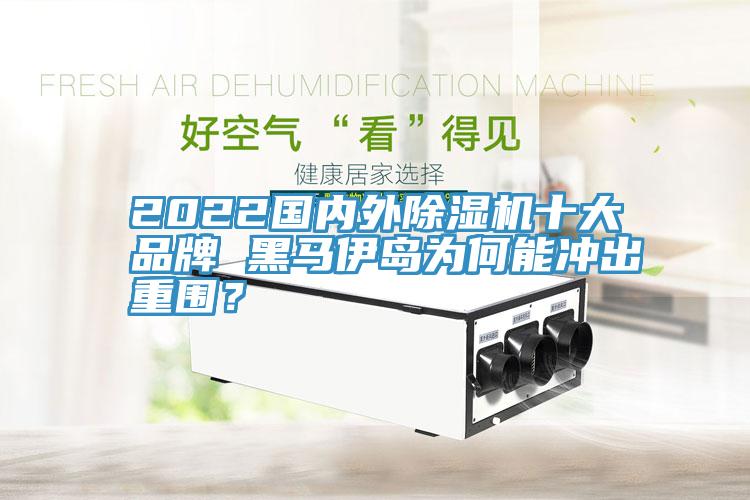 2022国内外猫咪成人官网十大品牌 黑马伊岛为何能冲出重围？
