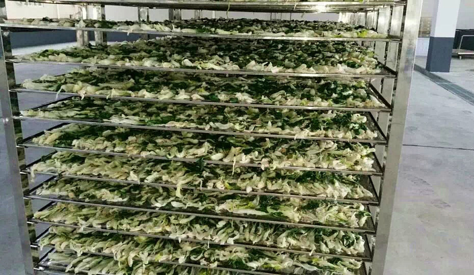 菜干需求一直都很大，蔬菜烘干机很有市场