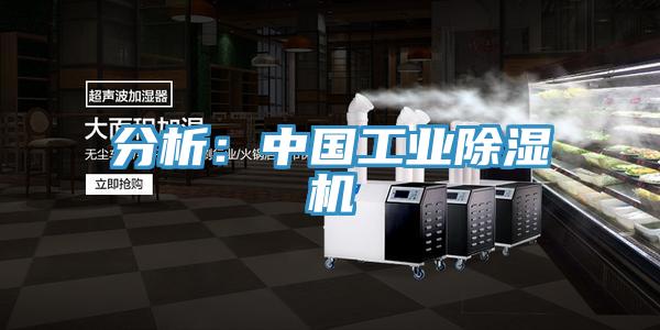 分析：中国工业猫咪成人官网