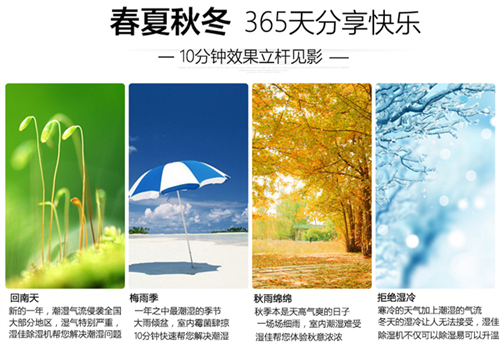 智能猫咪成人官网
