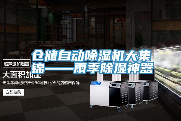 仓储自动猫咪成人官网大集锦——雨季除湿神器