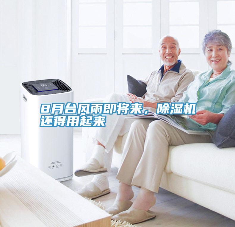8月台风雨即将来，猫咪成人官网还得用起来