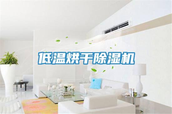 低温烘干猫咪成人官网