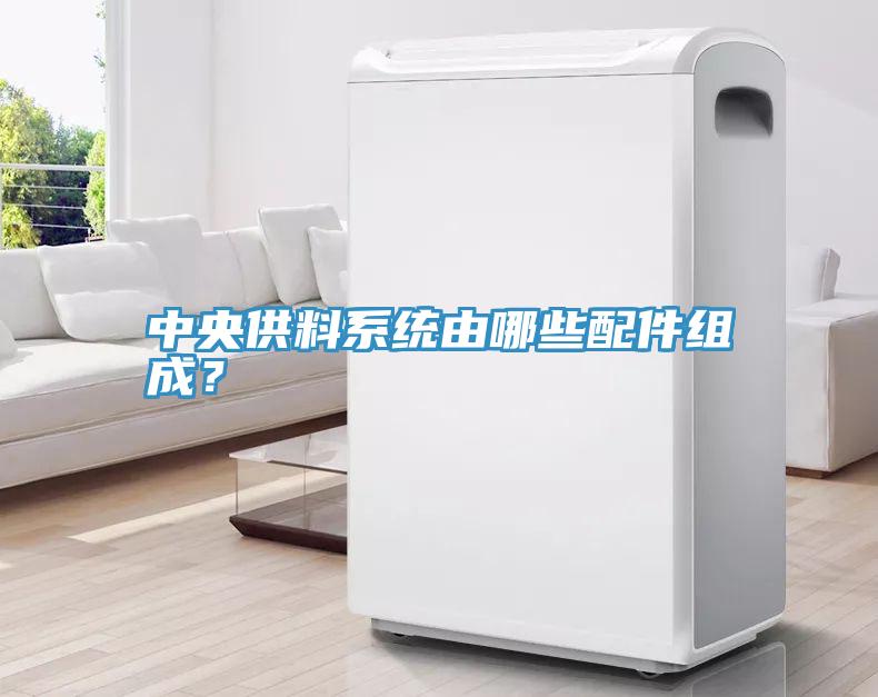 中央供料系统由哪些配件组成？