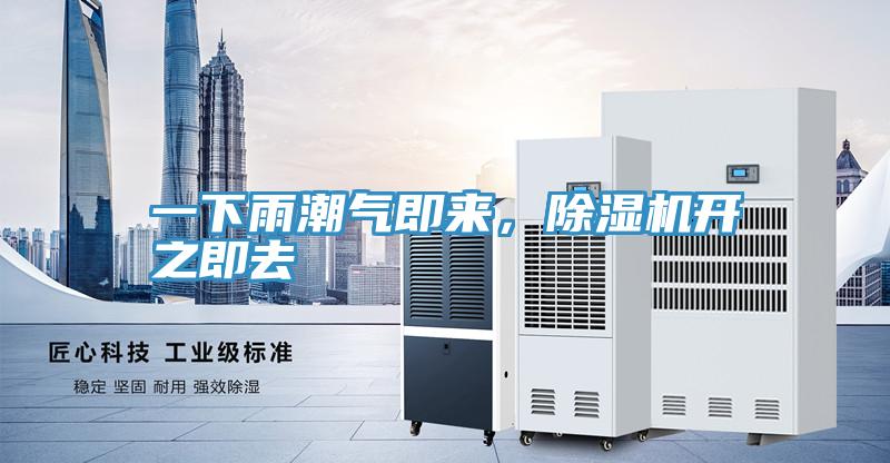 一下雨潮气即来，猫咪成人官网开之即去