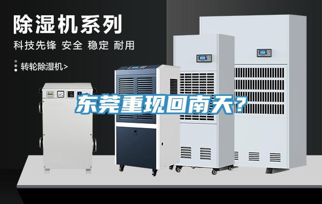 东莞重现回南天？