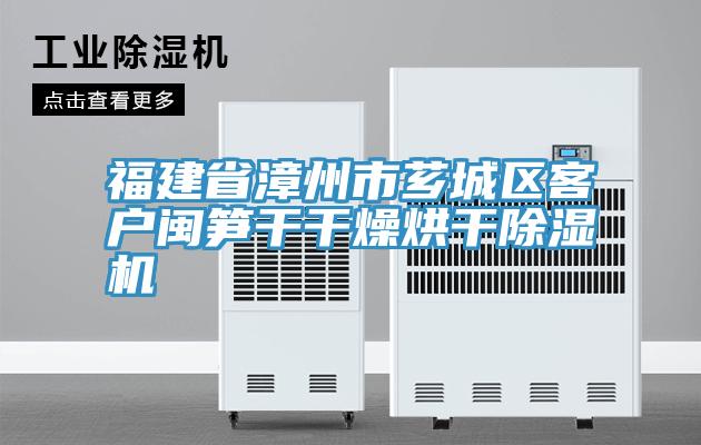 福建省漳州市芗城区客户闽笋干干燥烘干猫咪成人官网