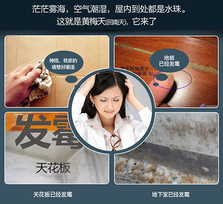 家庭别墅的地下室、卫生间、储物室等该如何除湿？