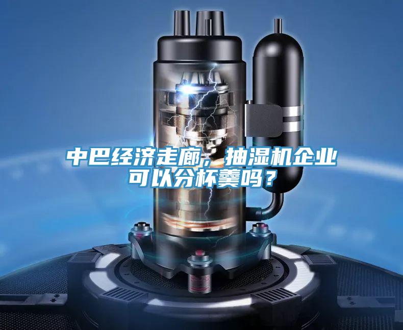 中巴经济走廊，抽湿机企业可以分杯羹吗？