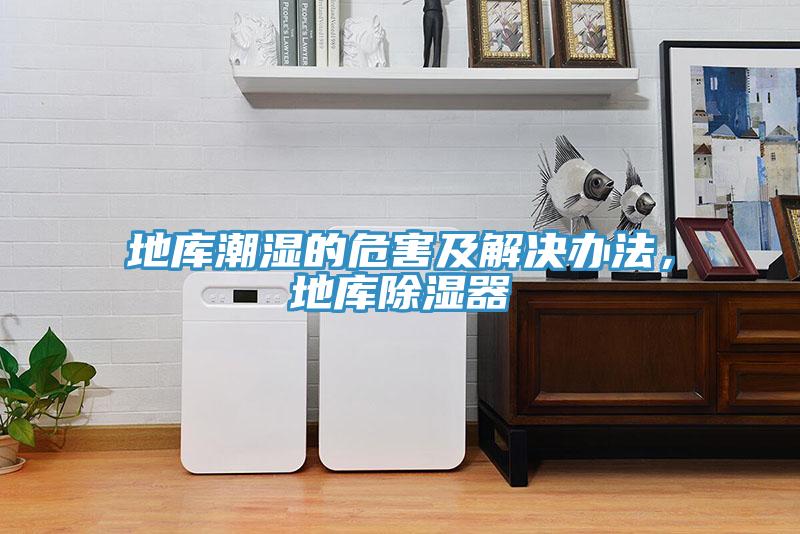 地库潮湿的危害及解决办法，地库除湿器