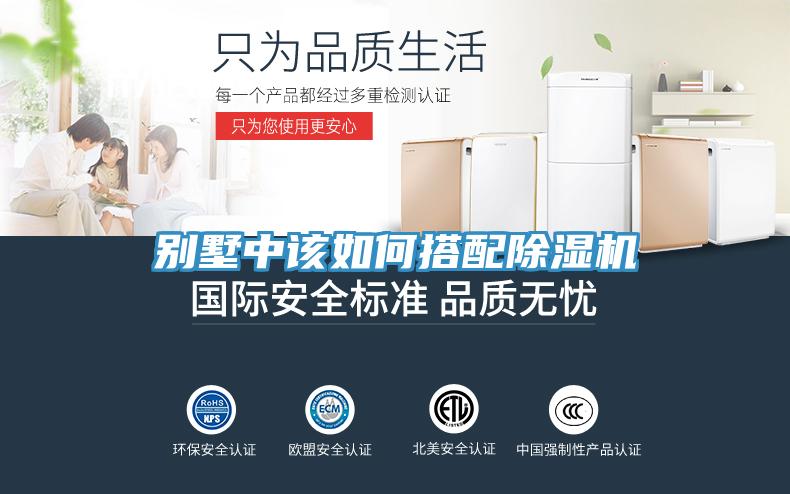 别墅中该如何搭配猫咪成人官网