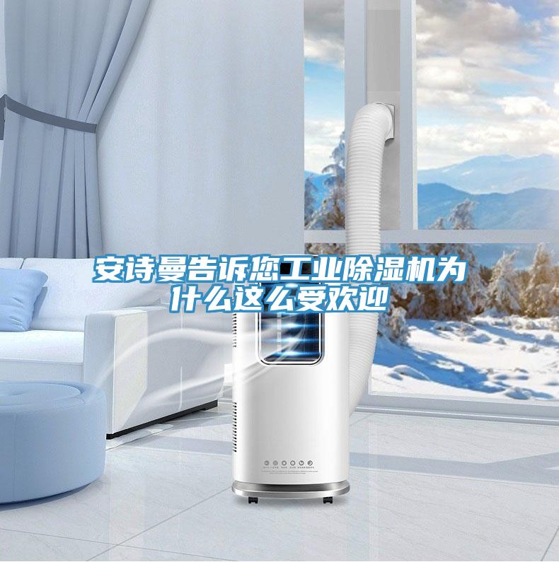 猫咪成人在线视频告诉您工业猫咪成人官网为什么这么受欢迎