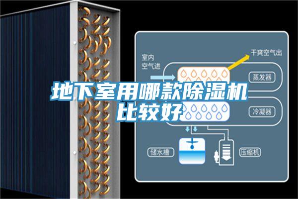 地下室用哪款猫咪成人官网比较好