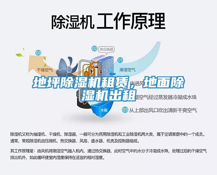 地坪猫咪成人官网租赁，地面猫咪成人官网出租