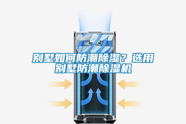 别墅如何防潮除湿？选用别墅防潮猫咪成人官网