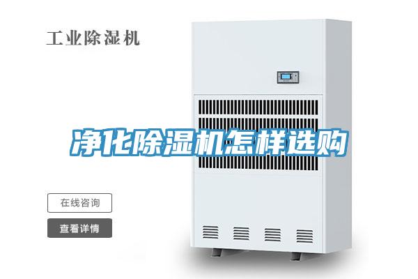 净化猫咪成人官网怎样选购