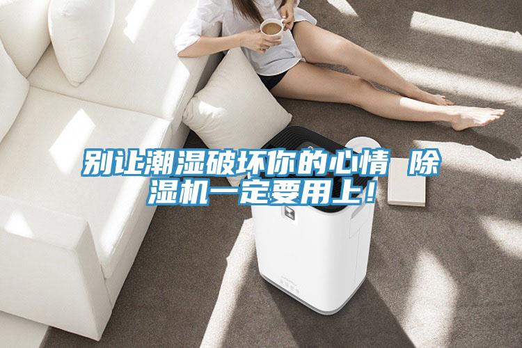 别让潮湿破坏你的心情 猫咪成人官网一定要用上！