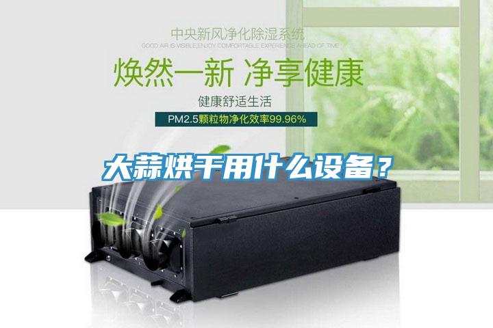 大蒜烘干用什么设备？