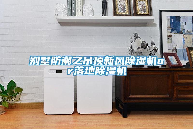 别墅防潮之吊顶新风猫咪成人官网or落地猫咪成人官网