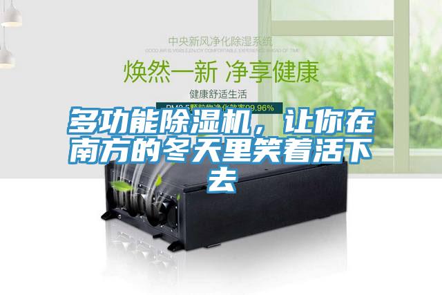 多功能猫咪成人官网，让你在南方的冬天里笑着活下去