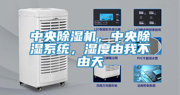 中央猫咪成人官网，中央除湿系统，湿度由我不由天