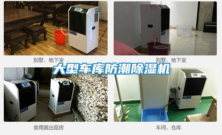 大型车库防潮猫咪成人官网