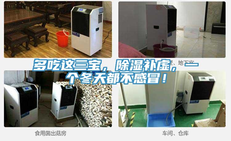 多吃这三宝，除湿补虚，一个冬天都不感冒！