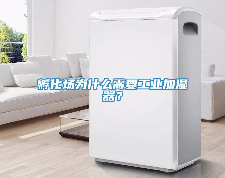 孵化场为什么需要工业加湿器？