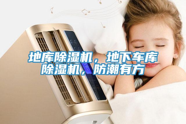 地库猫咪成人官网，地下车库猫咪成人官网，防潮有方